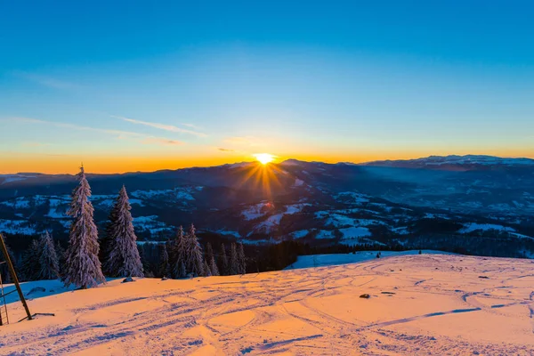 Abetos Cubiertos Nieve Temporada Invierno Cielo Atardecer Con Sol — Foto de Stock