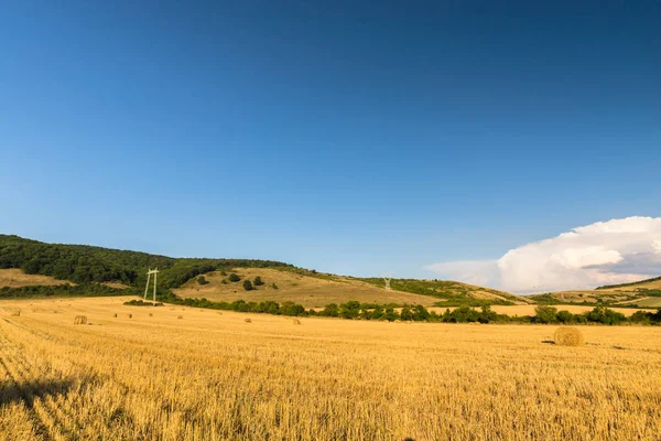 Wheat Field Hay Stacks — Stock Photo, Image
