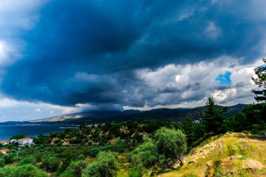 Arka planda zeytin ağaçları ve Akdeniz ile peyzaj, Yunanistan.