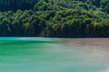 Orman ve nehir dağları, Romanya.