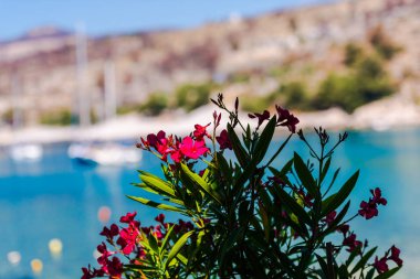 Yunanistan deniz manzarası, doğal arka plan.