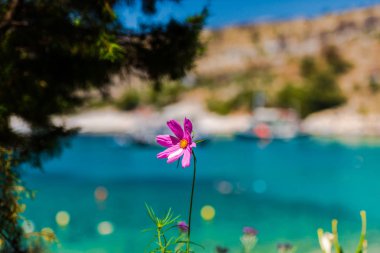 Yunanistan deniz manzarası, doğal arka plan.