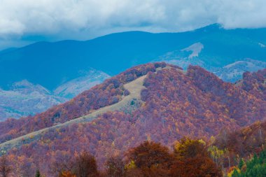 Sonbahar yatay, renkli ağaçlar, sonbahar sezon 