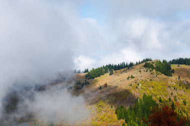 bulutlu gökyüzü ve kırsal çayır alanları