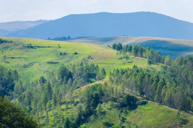 manzara Karpat Dağları, Romanya.