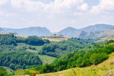 dağlar peyzaj ve orman ağaçları ile 