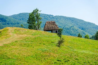 Carpathian Mountains, Romanya 'da küçük ahşap kulübe.