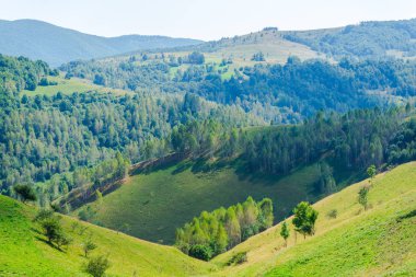 manzara Karpat Dağları, Romanya.