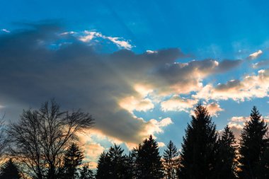 Günbatımı arka planında kış ormanı manzarası