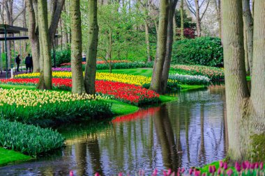 Ağaçlar ve çiçeklenme çiçekleri ile Bahçe, Hollanda.