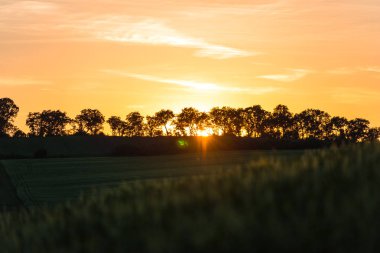 günbatımı gökyüzü güneş Parlatıcı ve alan manzara ile 
