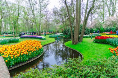 Ağaçlar ve çiçeklenme çiçekleri ile Bahçe, Hollanda.