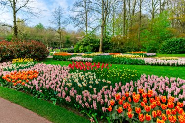 Ağaçlar ve çiçeklenme çiçekleri ile Bahçe, Hollanda.