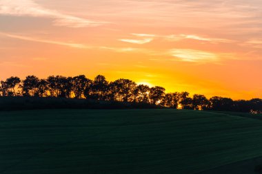 ağaçlar, doğa kavramı ile kırsal alandaki günbatımı gökyüzü 