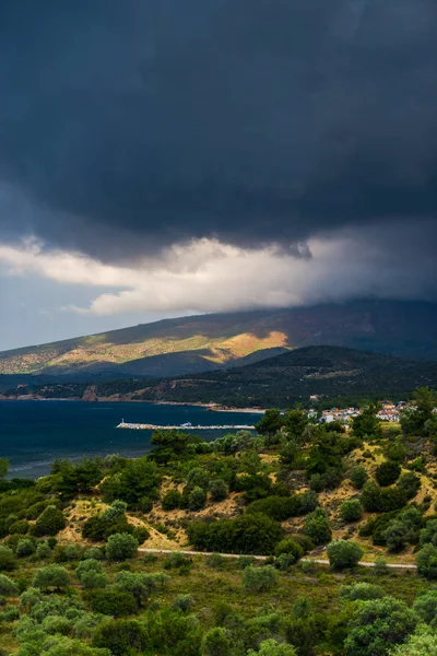 Arka Planda Zeytin Ağaçları Akdeniz Ile Peyzaj Yunanistan — Stok fotoğraf