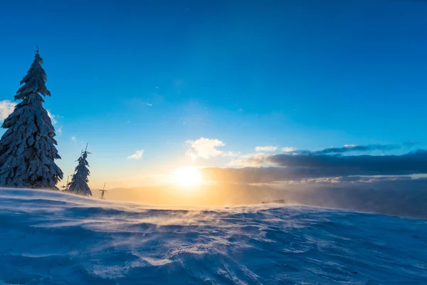 Solnedgång Himlen Kvällen Vintern Snötäckta Landskap Med Barrträd Vinter Utväg — Stockfoto