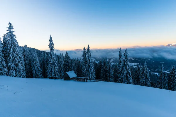 Floresta Inverno Com Árvores Abeto Cobertas Neve — Fotografia de Stock