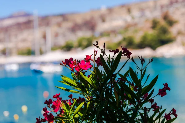 Yunanistan deniz manzarası, doğal arka plan.