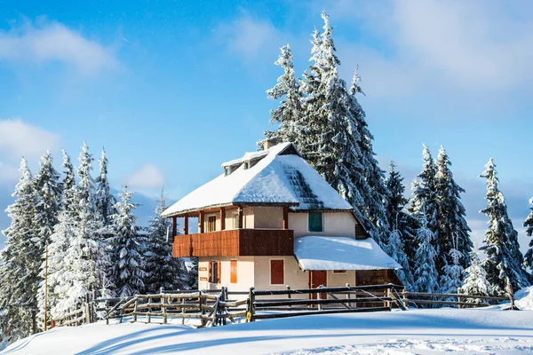 winter forest with snow covered spruce trees, hotel wooden house on hill