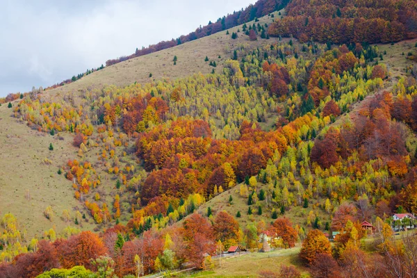 Herbstliche Landschaft Mit Bunten Bäumen Herbstzeit — Stockfoto