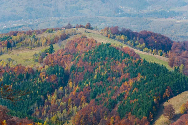 Höstigt Landskap Med Färgglada Träd Höstsäsong — Stockfoto