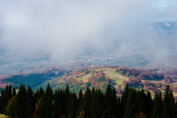 Autumn Wild Forest Trees Mountains Landscape — Stock Photo, Image