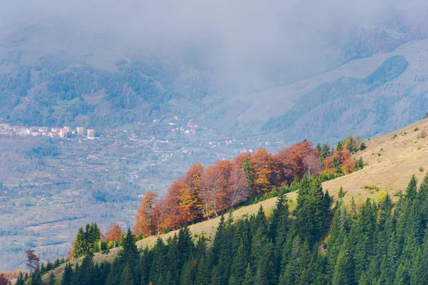 Otoño Bosque Salvaje Con Árboles Paisaje Montañas — Foto de Stock