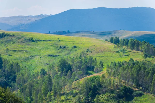 Landschaft Der Karpaten Rumänien — Stockfoto