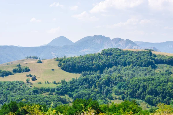 Landschap Van Bergen Bossen Met Bomen — Stockfoto