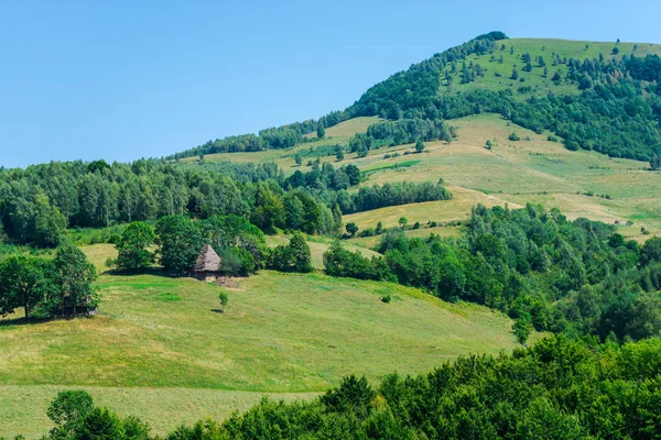 Paisaje Las Montañas Cárpatas Rumania —  Fotos de Stock