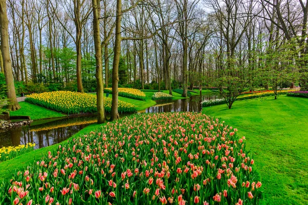 Spring Park River Trees — Stock Photo, Image