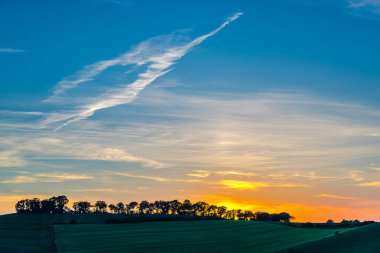 ağaçlar, doğa kavramı ile kırsal alandaki günbatımı gökyüzü 