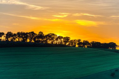 ağaçlar, doğa kavramı ile kırsal alandaki günbatımı gökyüzü 