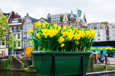 Amsterdam, Hollanda - 21 Nisan 2017: Amsterdam şehir manzarası.
