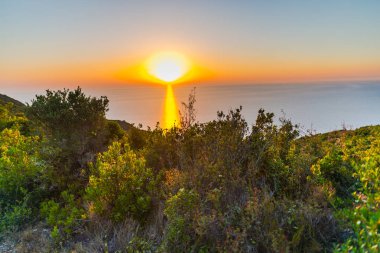 Gün batımı bitkilerin dallarından görüntülendi