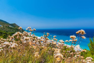 Seascape arka plan, Yunanistan'a seyahat.