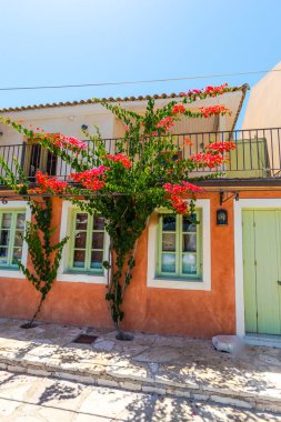 Duvarda parlak çiçek açan çiçekler ile Ev