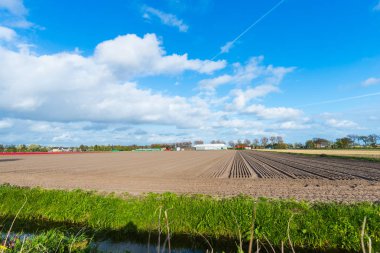 Kırsal, Hollanda'da ekim sezonu için hazırlanan tarlalar.
