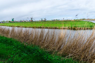 Geleneksel yel değirmenleri-Riverside, Zaanse Schans, Zaandam, Hollanda.