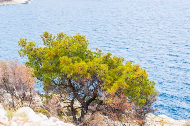 Seascape arka plan, Yunanistan'a seyahat.