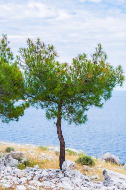 Seascape arka plan, Yunanistan'a seyahat.