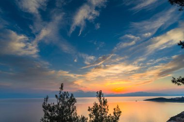 gündoğumu gökyüzü göl su ve büyüyen bitkiler ağaçlar 