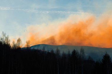 Gün batımı gökyüzü arka planda Sonbahar ormanı