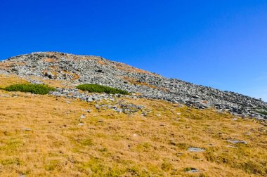 Dağlarla peyzaj, Romanya.