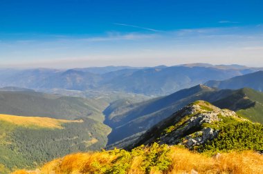 sarı çim arazi, dağlar yatay 