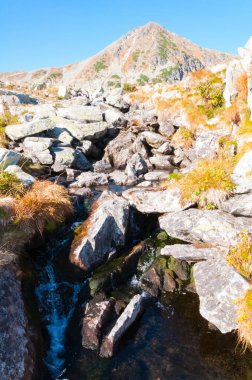 Dağlarla peyzaj, Romanya.