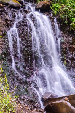 Şelale yaz taze ormanda