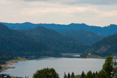 Orman ve nehir ile peyzaj, Romanya.