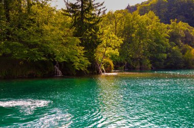 Orman ve nehir ile peyzaj, Romanya.