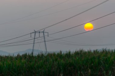 Elektrik direkleri batımında alanıyla 